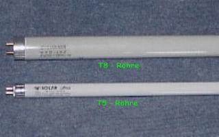 T5 & T8 Röhre